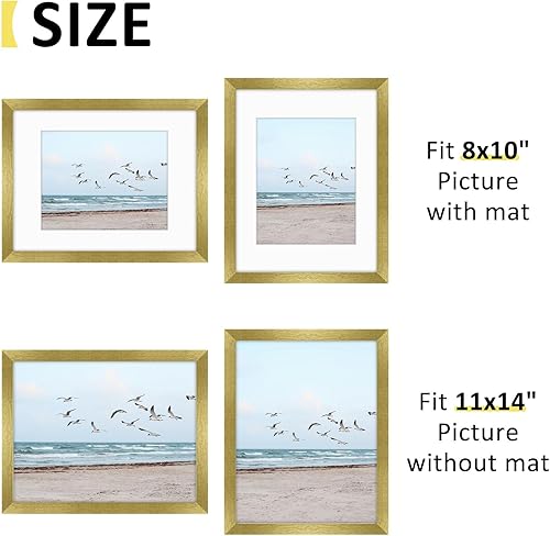 Vista 201 de Frametory, Los marcos de 16 x 20 pulgadas muestran imágenes de 11 x 14 pulgadas con paspartú o fotos de 16 x 20 pulgadas sin paspartú, vidrio Plata