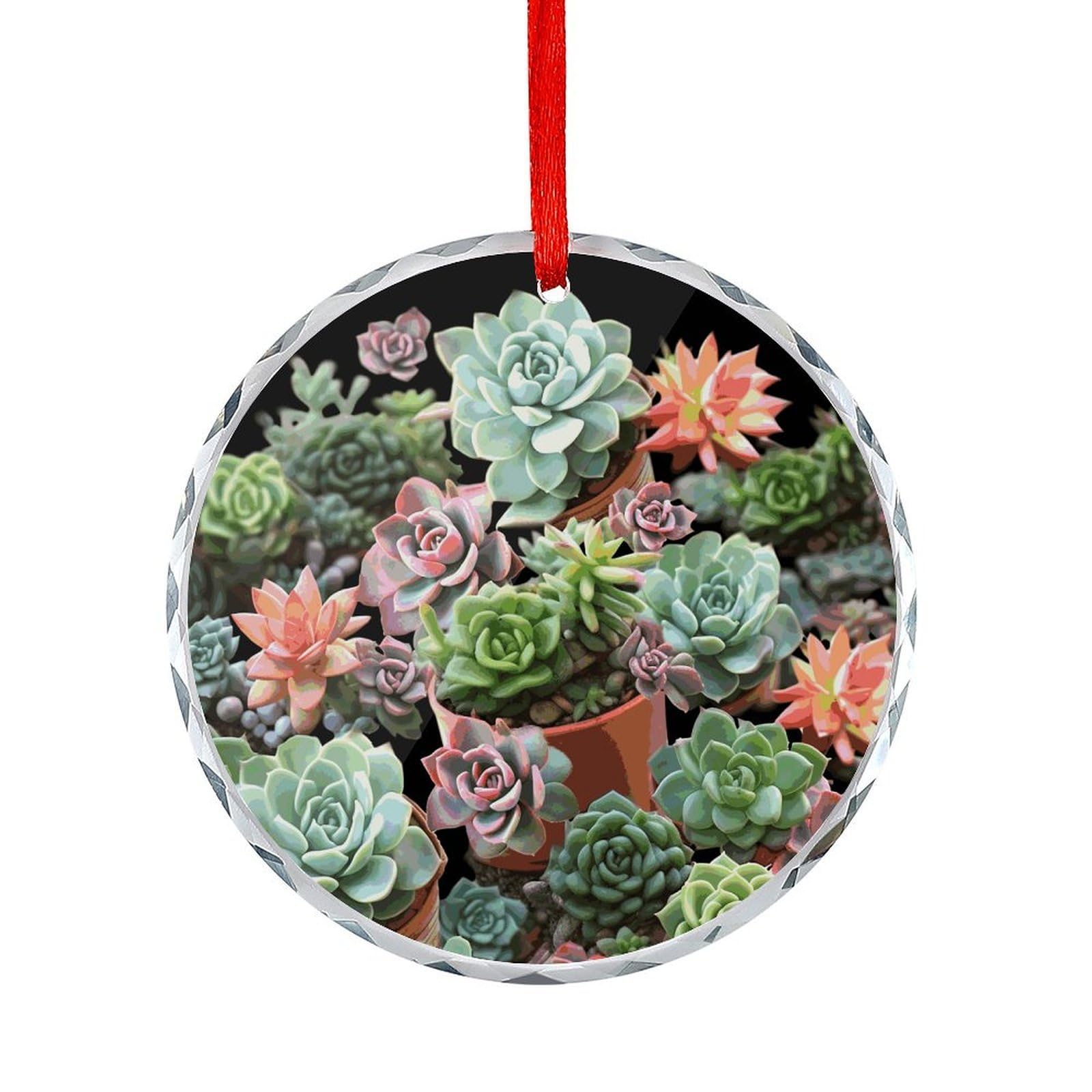 Btcowzrv Style Succulents Round Ornament Hanging Pendant Decor