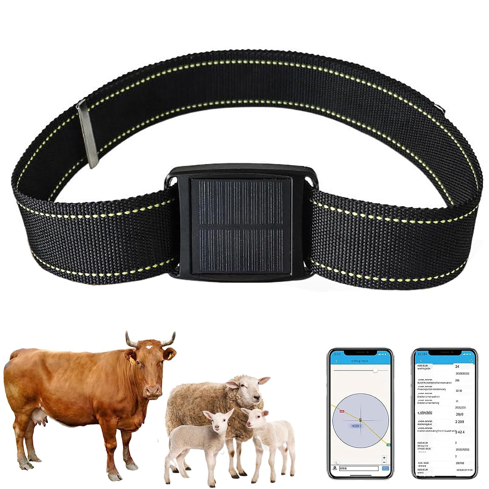 Localisateur GPS Solaire 4G pour Bovins Et Ovins, avec Collier Antivol Et Batterie 20 Ah, Suivi De L'Historique des DéPlacements Via Application, pour Bovins, Ovins Et Chameaux