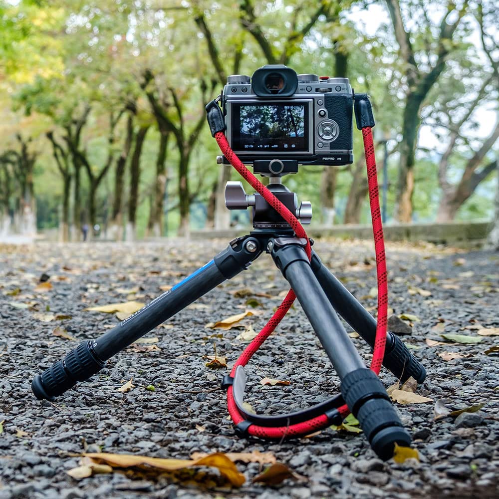 Amazon | Leofoto レオフォト LS-253CM カーボン三脚 パイプ径