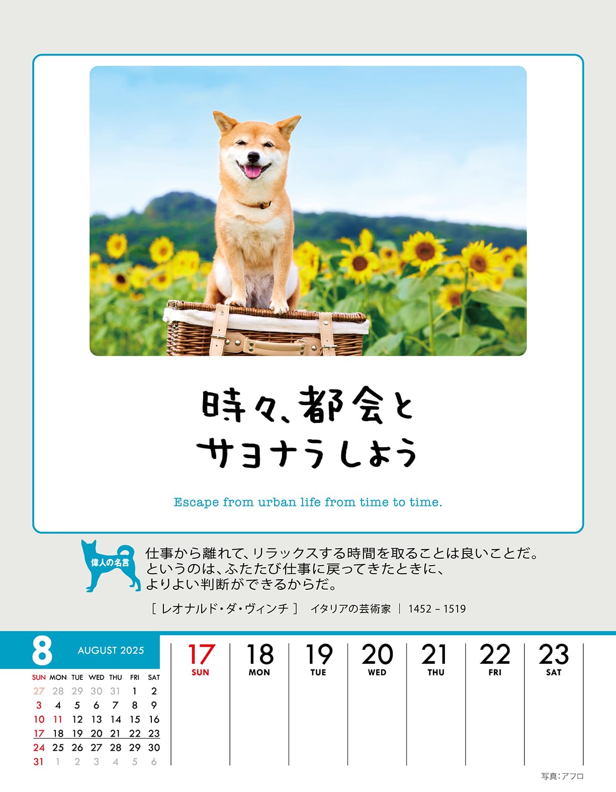 Amazon.co.jp: トライエックス 人生はワンチャンス！ 卓上/壁掛 2025年