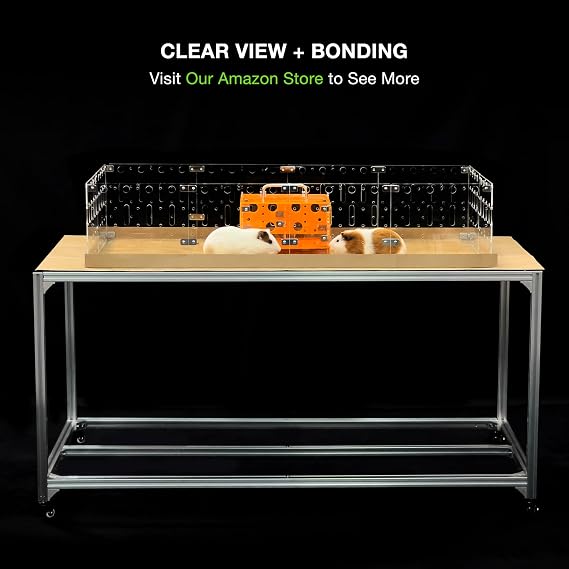 GuineaLoftTM Model-A Acrylic Guinea Pig Cage - Large 4x2ft Expandable C&C | Also Works for Small Roaming Animals Like Rabbits, Button Quails, and Hedgehogs Visit the GuineaLoft Store