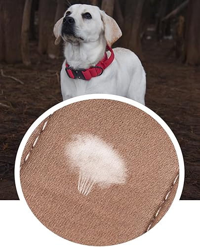 Miniatura 7 de Collar táctico para perro, collar militar para perros medianos, collares ajustables de nailon con asa, collar grueso resistente con hebilla de metal