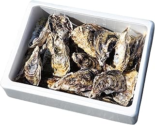 濱野商店(hamanoshouten) 先行予約 大阪湾 牡蠣 3kg 海鮮