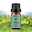 yethious Vetiver Essential Oils for Diffuser & Aromatherapy Pure Vetiver Oil for Skin, Hair Gift Oils - 10ML
