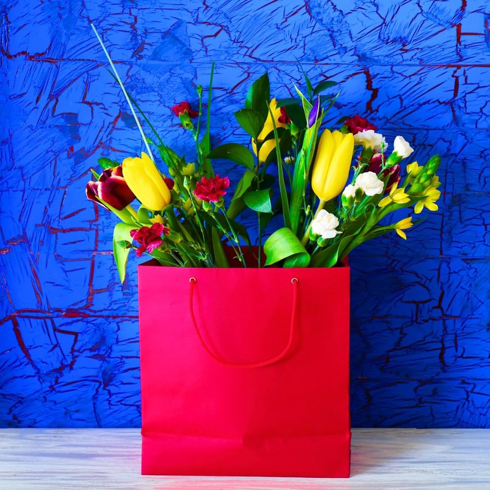 Amscan Friendly Medium brillant Sac cadeau, Rouge, papier Medium Rouge pomme