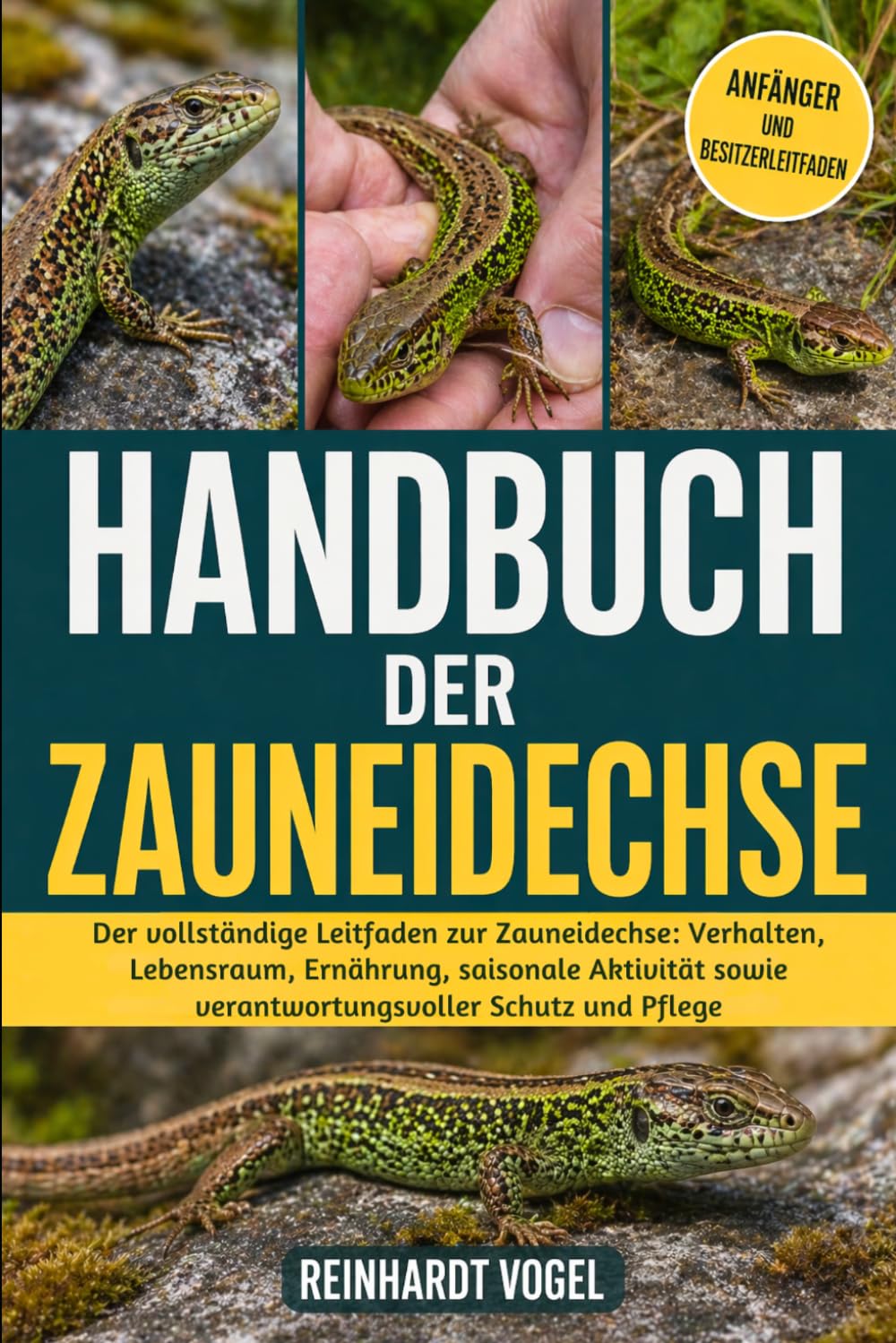 HANDBUCH DER ZAUNEIDECHSE: Der vollständige Leitfaden zur Zauneidechse: Verhalten, Lebensraum, Ernährung, saisonale Aktivität sowie verantwortungsvoller Schutz und Pflege
