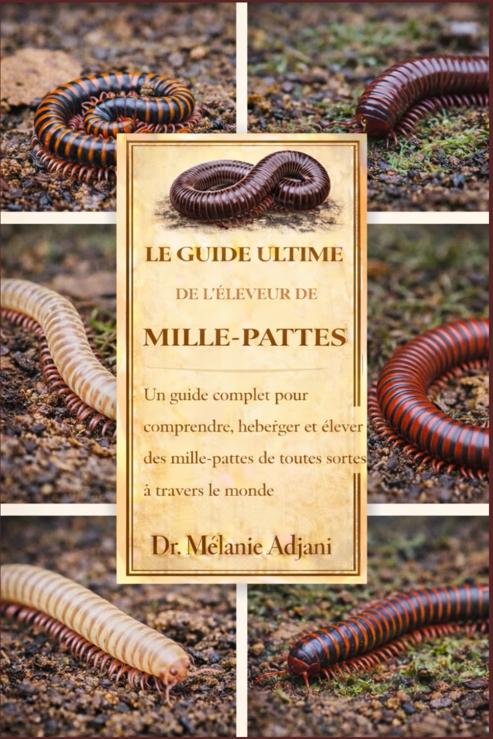 LE GUIDE ULTIME DE L'ÉLEVEUR DE MILLE-PATTES: Un guide complet pour comprendre, héberger et élever des mille-pattes de toutes sortes à travers le monde.