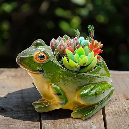 Miniatura 7 de VIKKSAER Juego de 2 macetas de rana de resina, maceta de bonsái, maceta para suculentas, maceta multiusos para decoración de escritorio en
