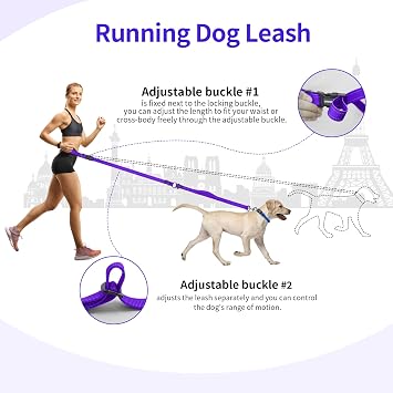 Hands Free Dog Leash by Kazazoo, Adjustable 6-9 FT Waist & Crossbody Leash with Quick Off Buckle, Reflective Stitches for Walking, Jogging,Medium to Large Dogs Purple-L