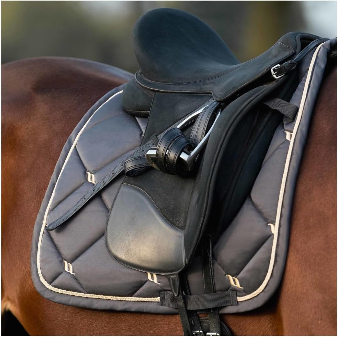 Back on Trackhorse-Saddle-Pads