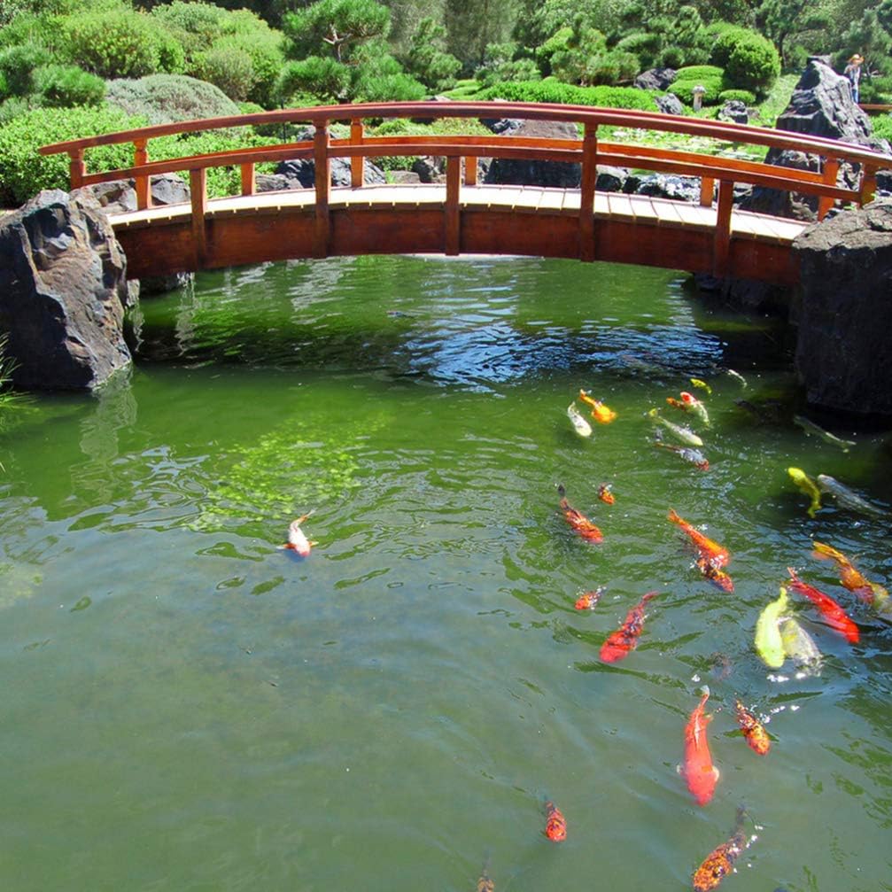 Happyyami Pool Swimming 20Pcs Floating Pond Protector Pond Fish Guard Protector Plastic Floating Net Rings Cover for Bird (Black) Swimming Swimming Swimming Pool : Patio, Lawn & Garden