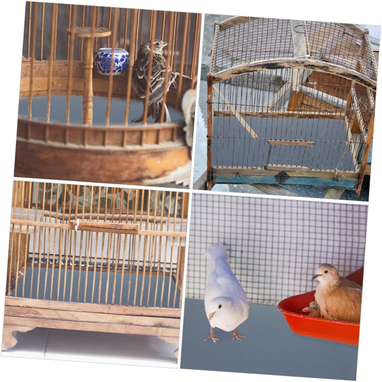 Milisten 5pcs Bird Cage Sandpaper Sheets for Trimming Replacement Liners for Parrot Cages Easy Replace Mats Random Patterns