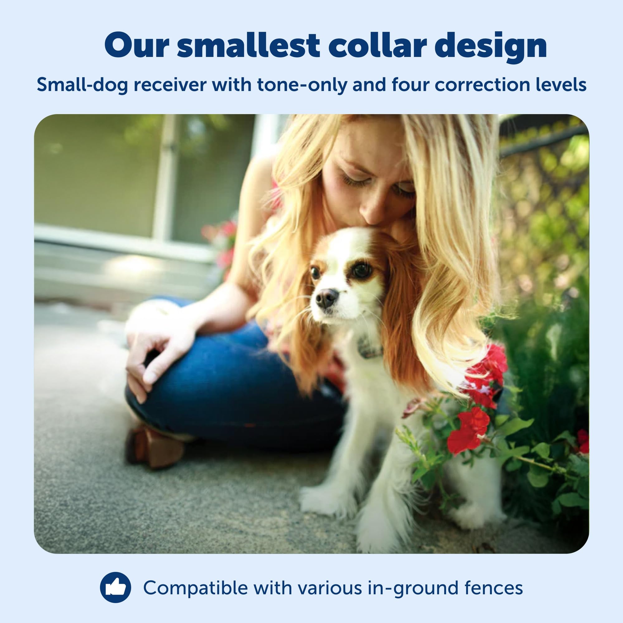 PetSafe - Collier Anti-Fugue pour Petit Chien Supplémentaire pour Clôture Anti-Fugue avec Fil PetSafe - Collier Léger et Imperméable - Sangle Réfléchissante