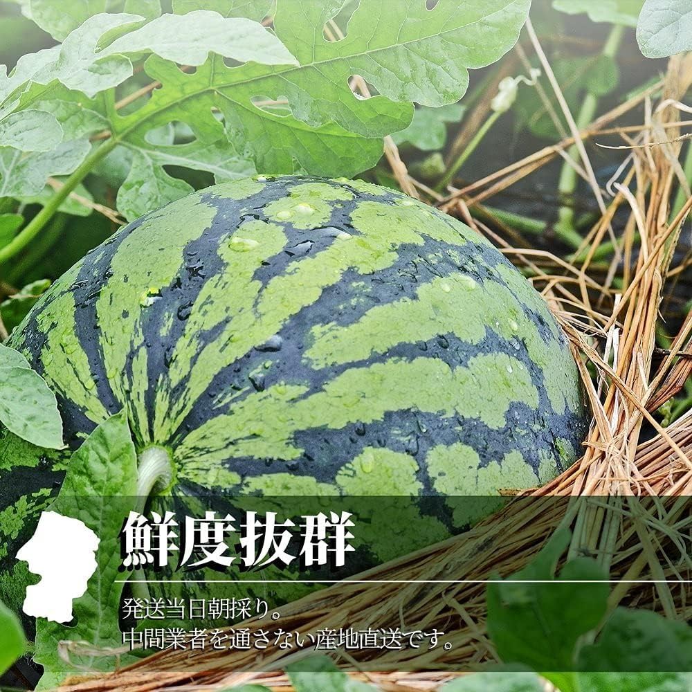 Amazon.co.jp: 山形県産 尾花沢すいか 金色羅皇 2L・3L玉 1玉入れ（7