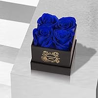 Vista 3 de Rosas preservadas en caja, 4 piezas, flores preservadas, regalo de rosas para ella, azul rey