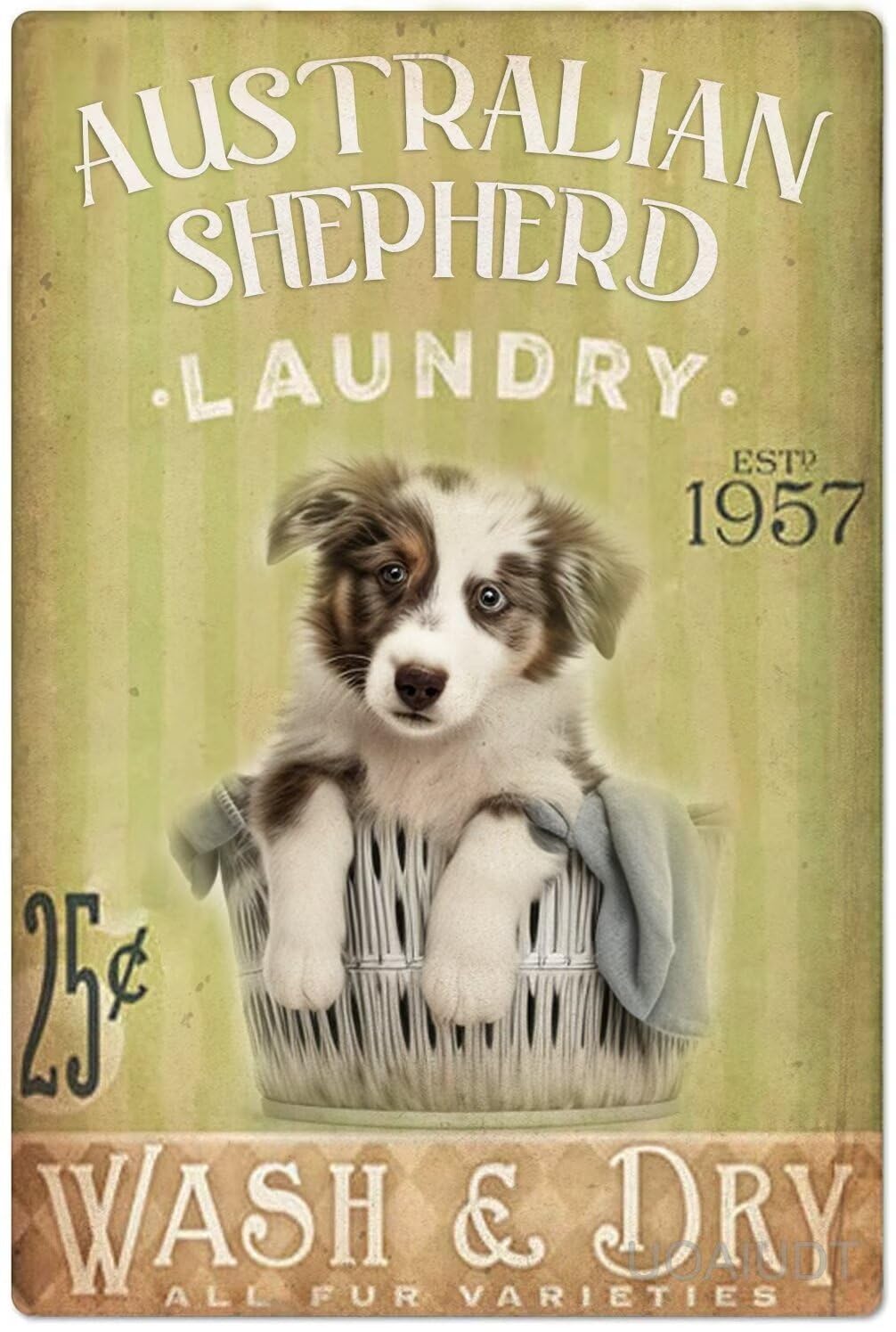 Anceky Australian Shepherd Diamond Art Painting Kits for Adults 5D Laundry Sign Dog Wash Dry Diamond Paintings Beginners Paint DIY Gem Art Diamond Art for Adults for Laundry Wall Decor 8X12 Inch