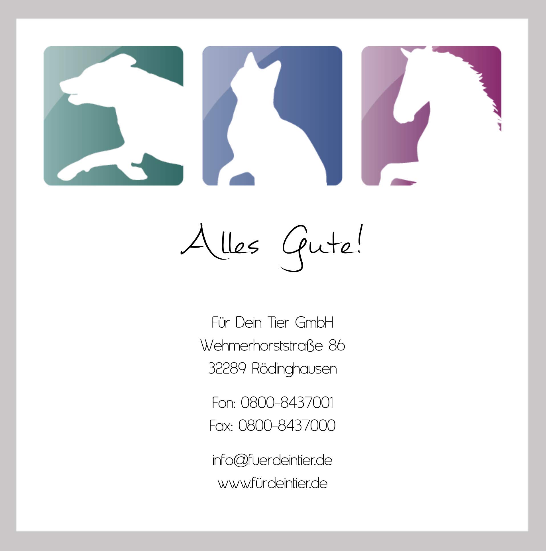Set Bewegung, Haut und Fell aus je 1 Dose Motion und 1 Dose Dermal