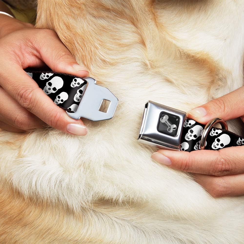 Buckle-Down Seatbelt Buckle Dog Collar - Tilted Skulls Black/White - 1" Wide - Fits 9-15" Neck - Small