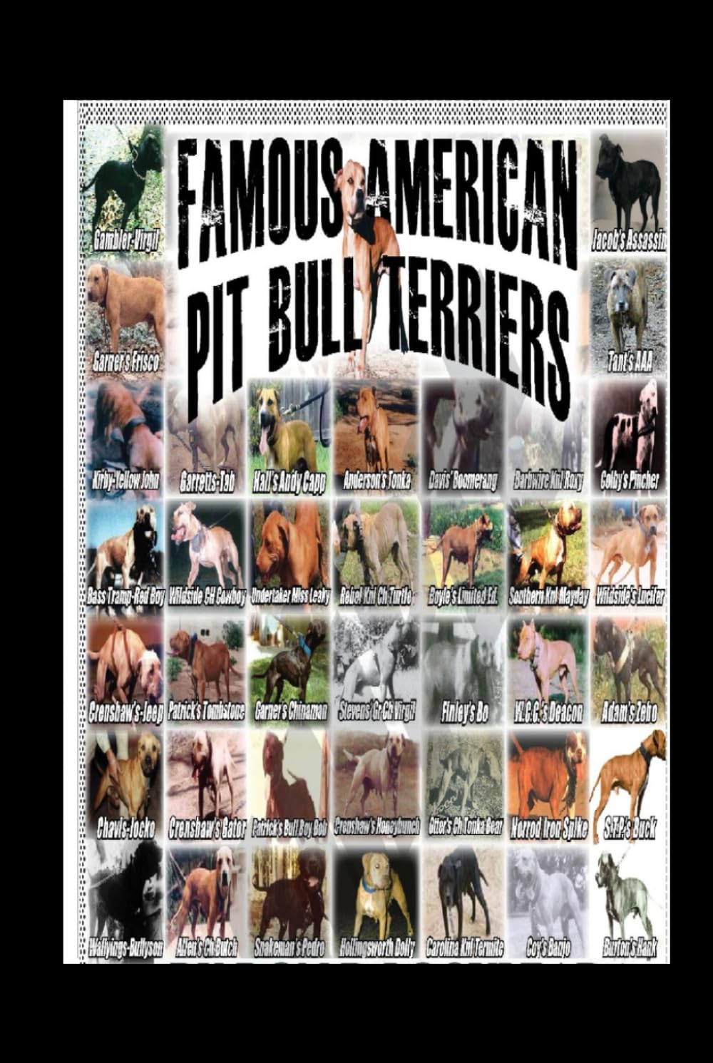 Famous American Pit Bull Terriers