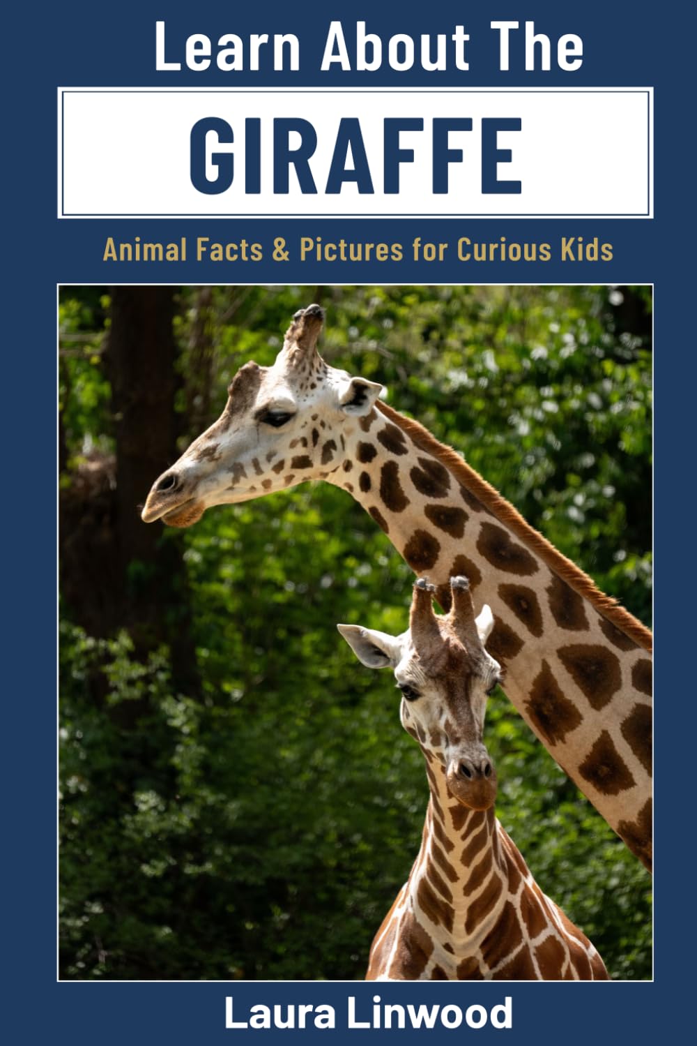Learn About the Giraffe: Animal Facts & Pictures for Curious Kids (Curious Kids Learn About Books)