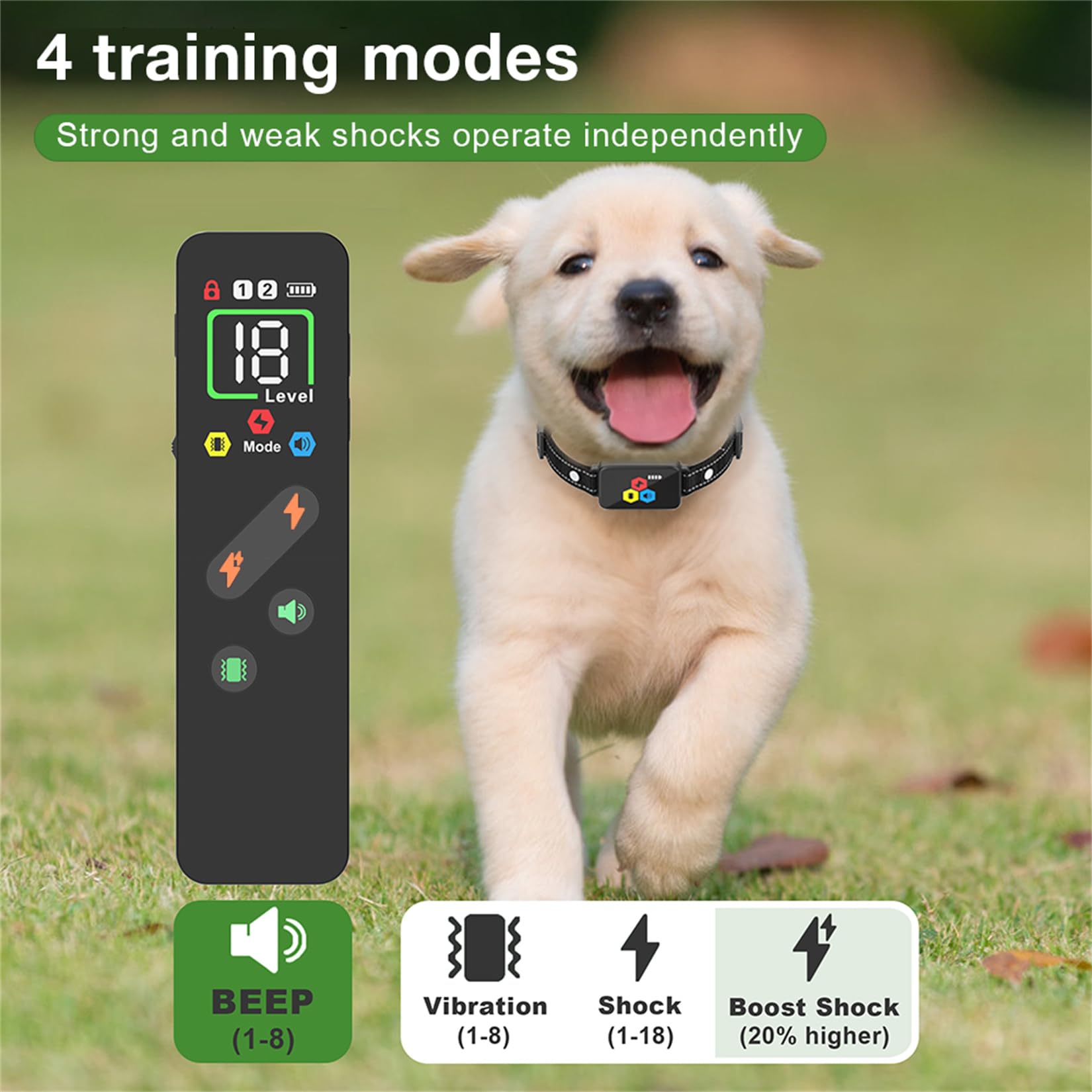 Erziehungshilfen,Agility-Ausrüstung,Ideal auch für Agility-Training.Praktische Hundeerziehungshilfen,Das Hundetraining-Zubehör ist robust und langlebig und eignet Sich für Hunde jeder Größe. (e2)