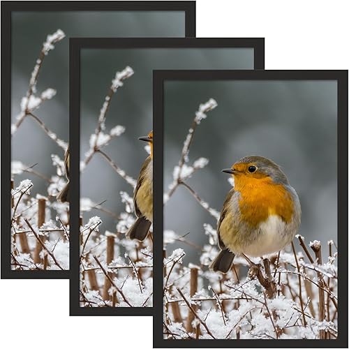 CTBRT Portarretratos de 16 x 24 pulgadas, juego de 3 marcos de madera maciza de 16 x 24 pulgadas, marco negro para colgar en la pared, marcos de