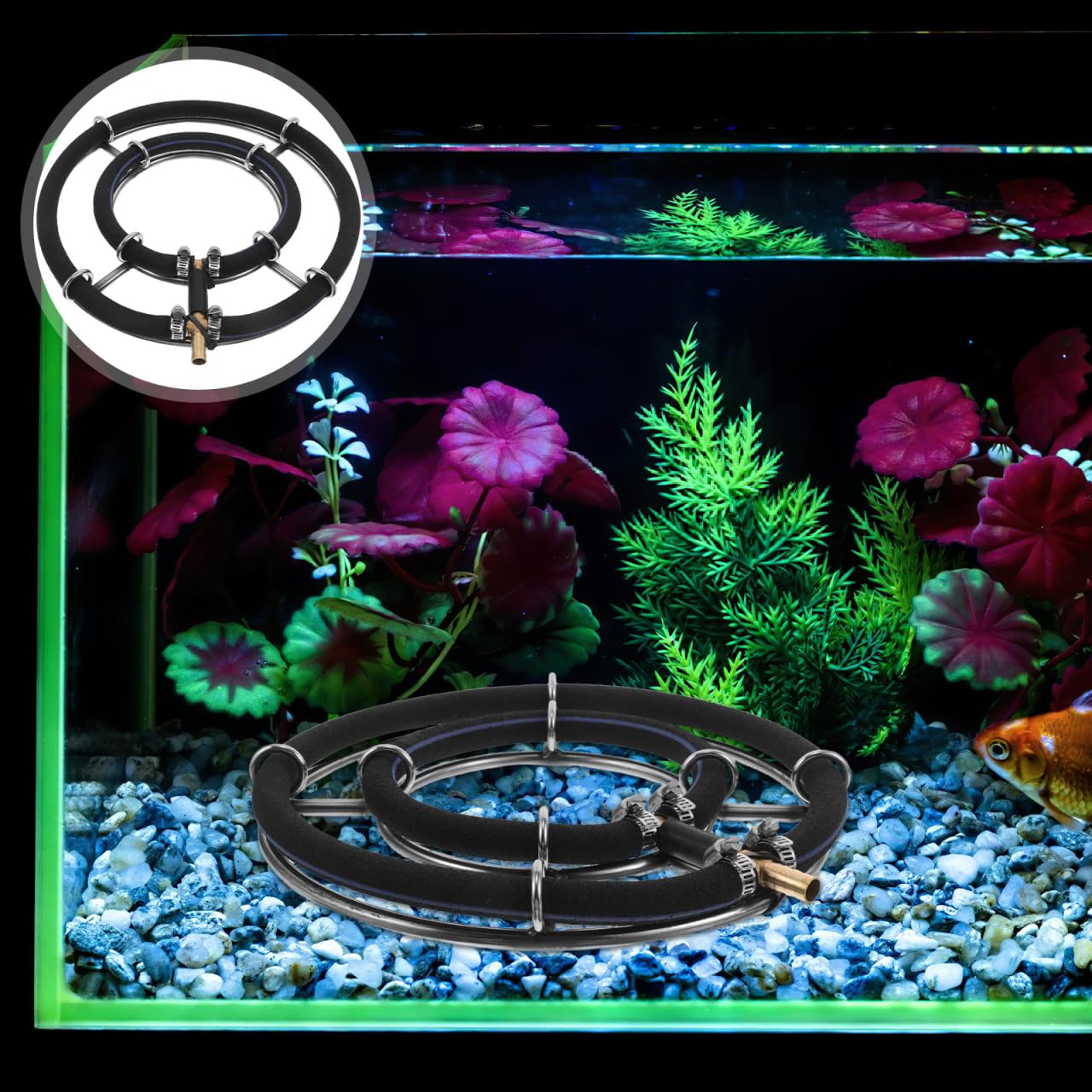 FRCOLOR Diffuseur d'oxygène pour aquarium, pierre à bulles, pompe à air, accessoires en acier inoxydable, double anneau de 25 cm, disque à bulles nano pour aération d'aquarium et d'étang