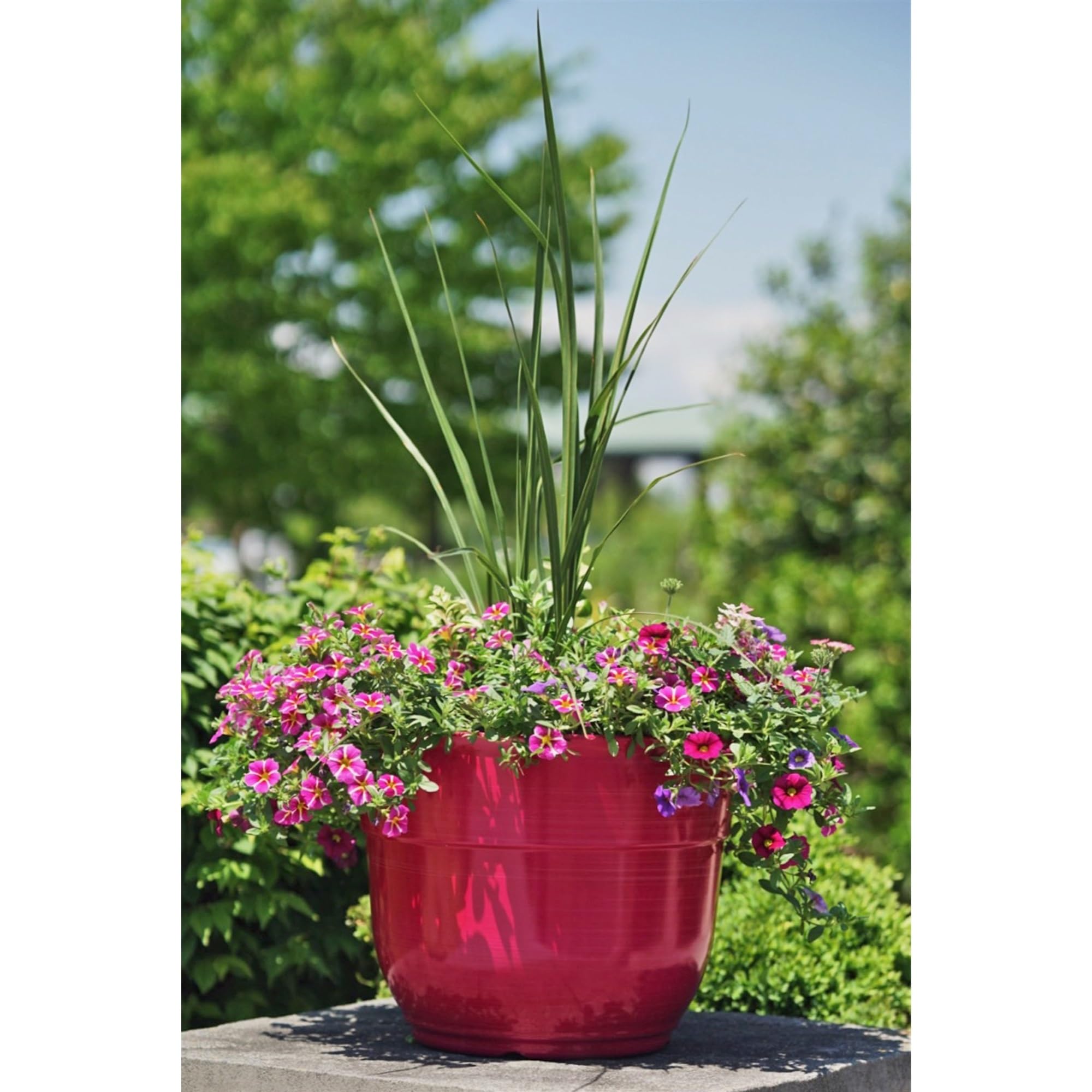 Amazon.com : Garden Elements Indoor/Outdoor Glazed Brushed Happy Plastic  Planter, Large, Bright Pink, 15" : Patio, Lawn & Garden