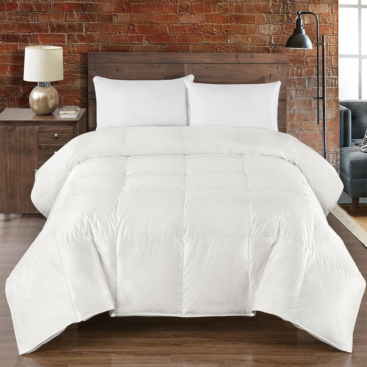 Royal Hotel Bedding Abripedic Silk Goose-Down Comforter, Luxury Down Duvet Insert, 450 TC Cotton-Silk Solid Shell 650FP, Full/Queen