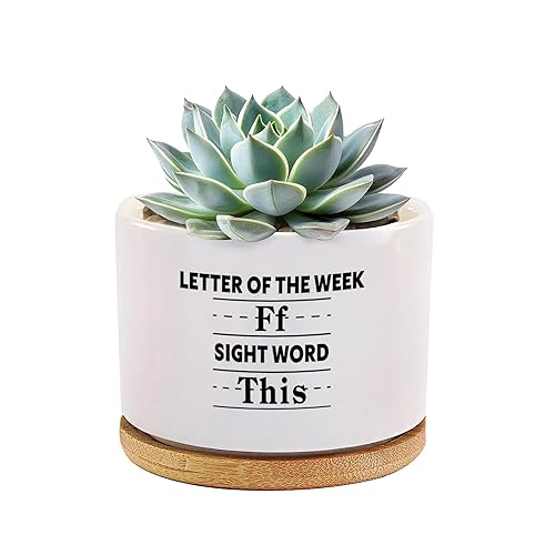 Letter of the Week Ff Sight Word This Teachers Gift