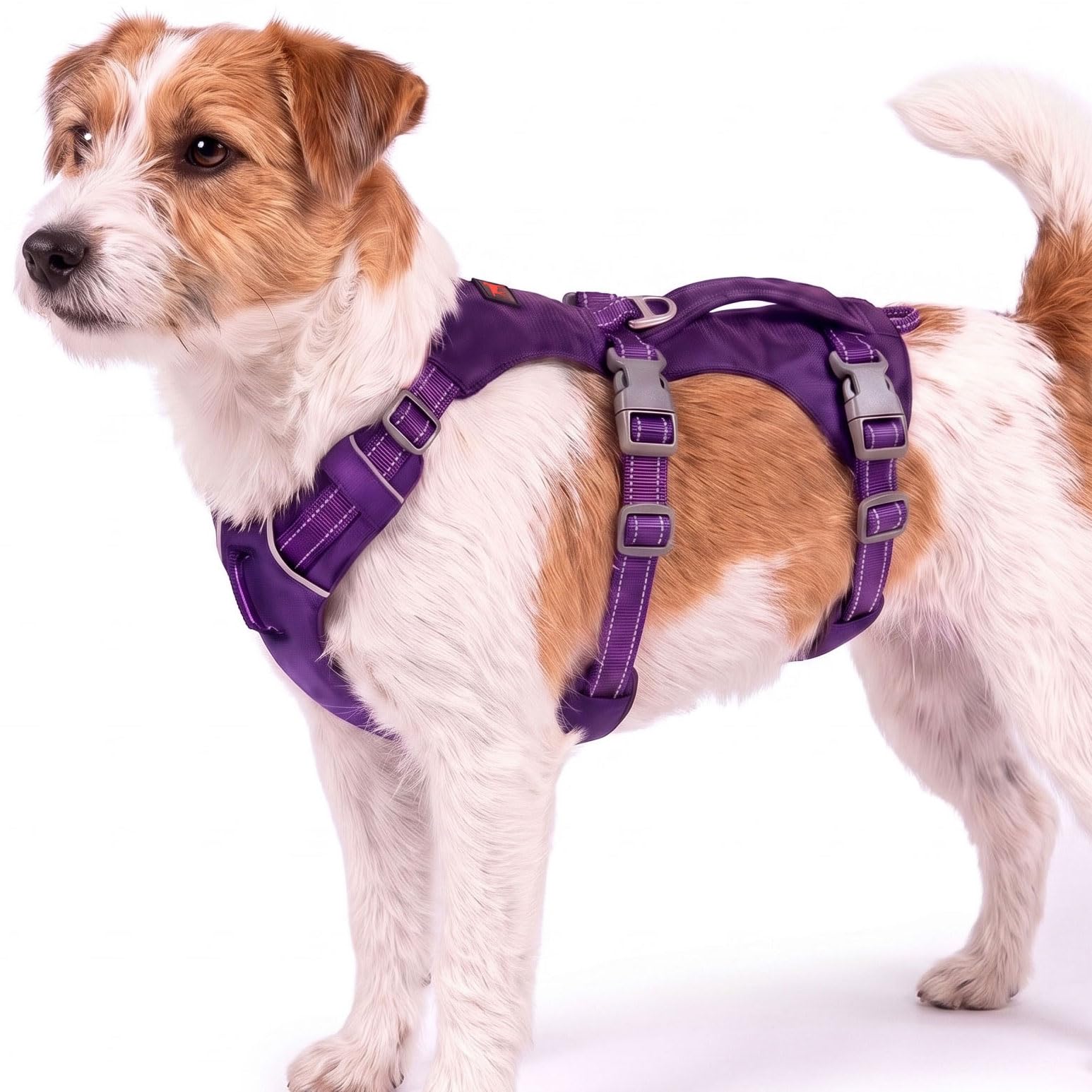Escape Proof Dog Harness for Extra Small Dogs | No Pull Lightweight Adjustable Harness |…