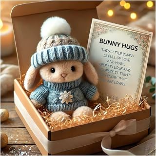 Mini Bunny Hug Cute Easter Gift Plush 2025 Bunny in a Box Hugs Positive Bunny Stuffed Animal Rabbit Soft Floppy Easter Ideas Bunnies Basket Stuffers Doll Emotional Support Inspirational Gifts (C1)