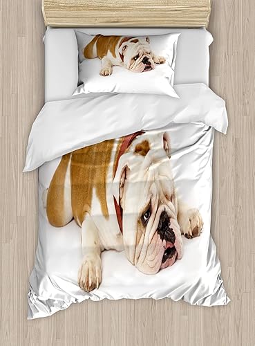 Ambesonne Juego de funda de edredón de Bulldog inglés, Bulldog triste y cansado, fotografía de animales de raza pura europea, juego de ropa de cama