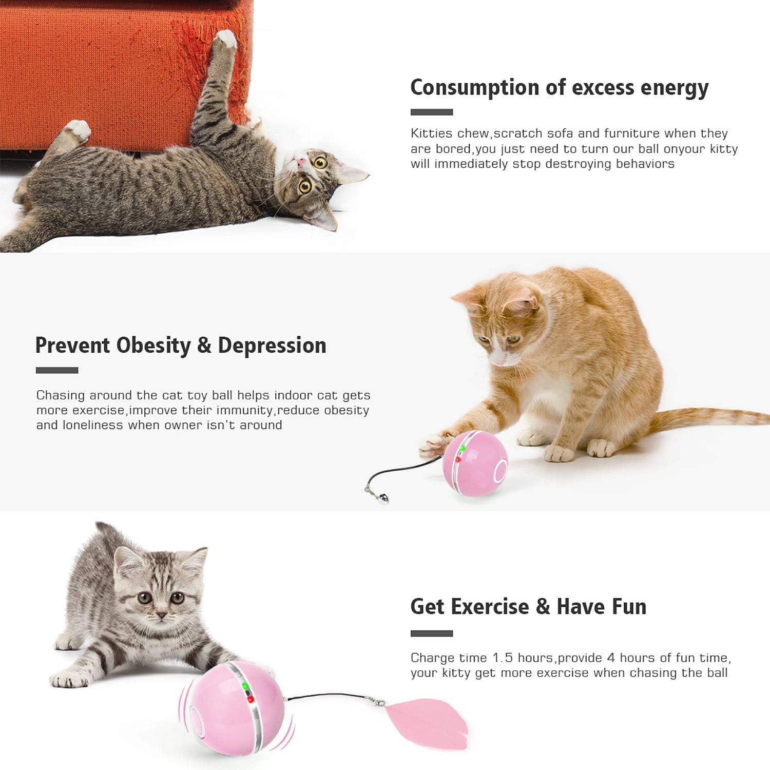 WWVVPET Interactive Cat Toys Ball with LED Light & Catnip, Upgraded Ring Bell Feather Pet Toy,Auto Spinning Smart Cat Ball Toy,USB Rechargeable Stimulate Hunting Instinct Kitty Funny Chaser Roller 9 71D9otbJmIL. AC SL1500