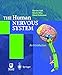 Produktbild The Human Nervous System, 1 CD-ROM: An Introduction. Für Windows 95/98