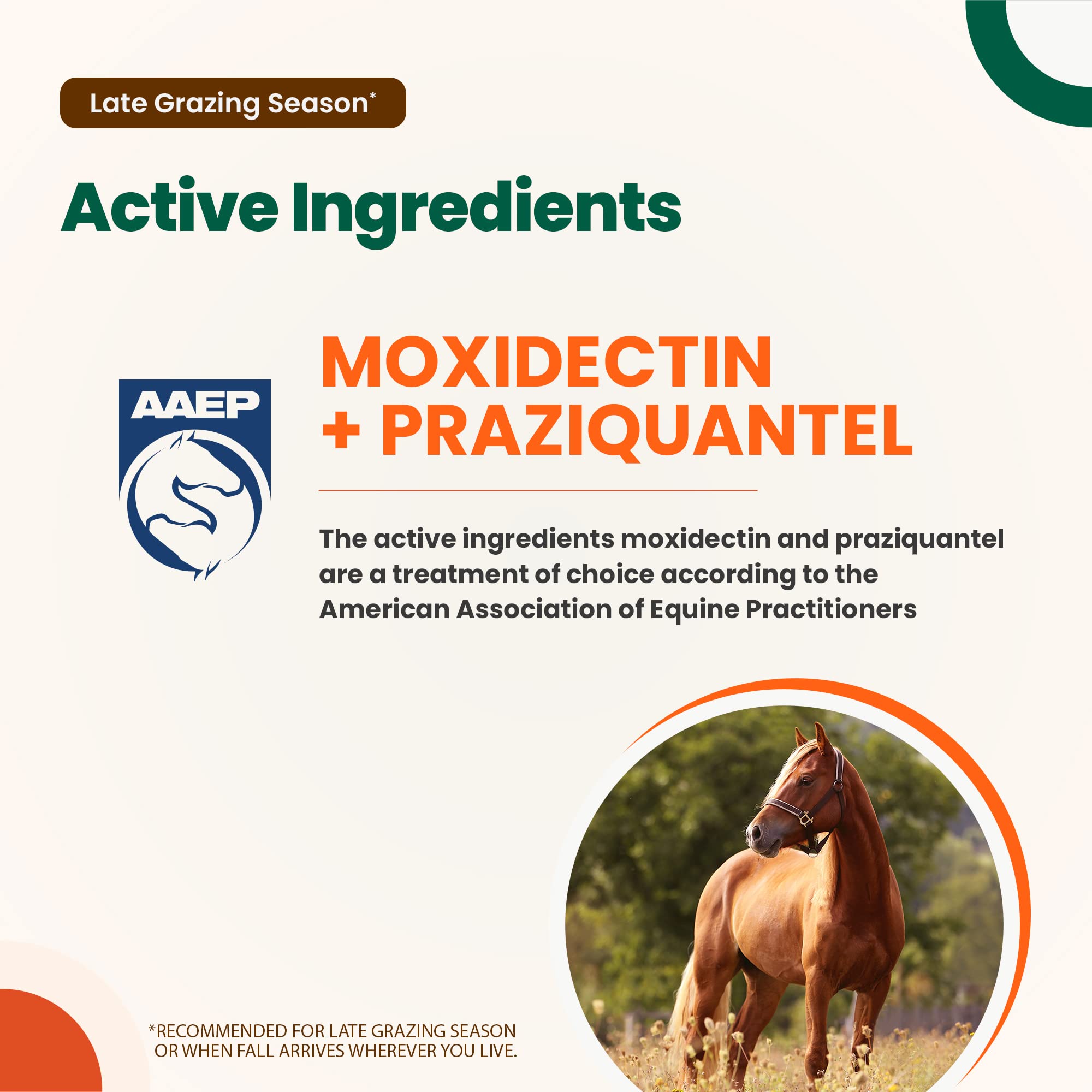 Buy Quest Plus Gel Moxidectin/ Praziquantel Horse Dewormer, Late