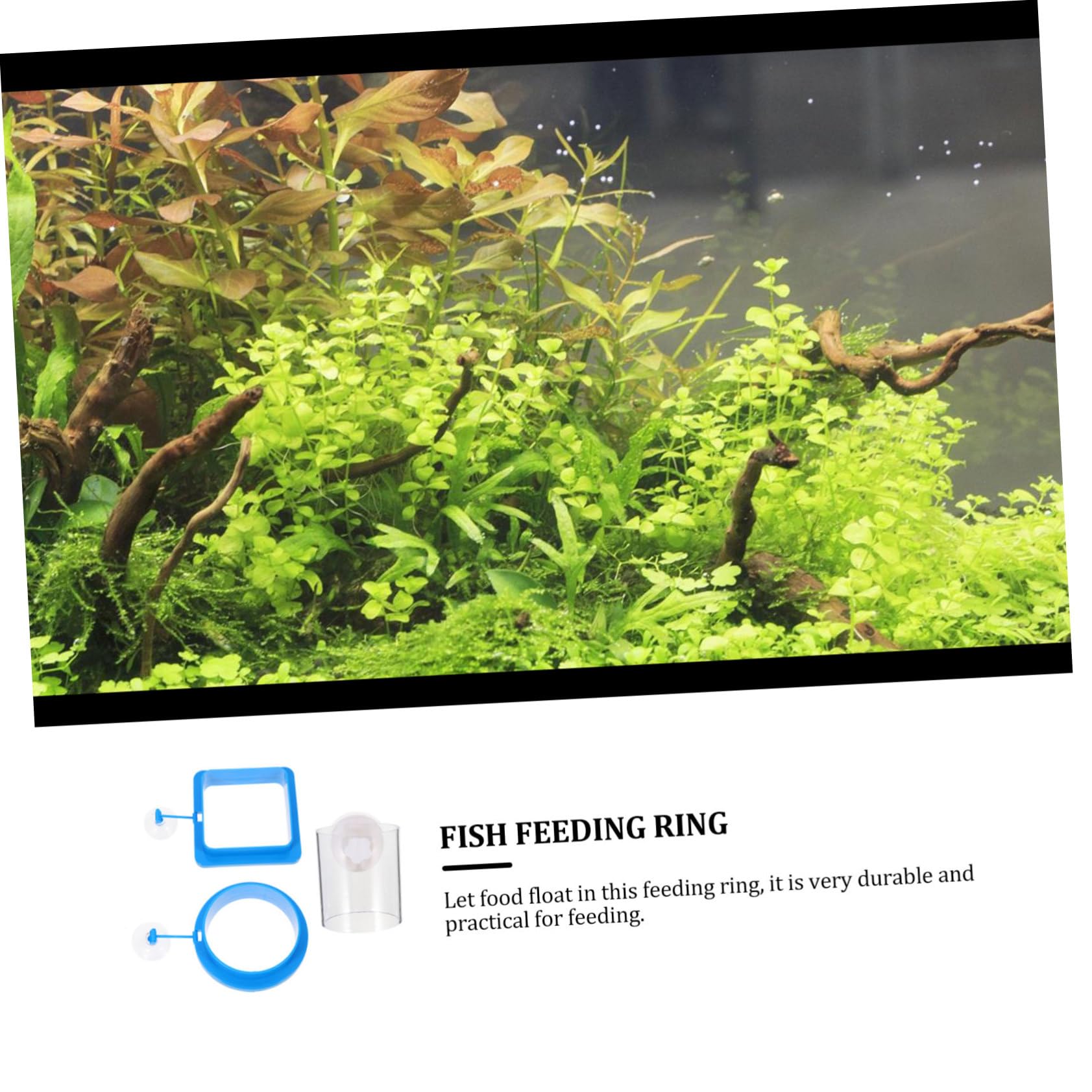 Happyyami 12stücke Fischfutterringe Schwimmende Futterringe Für Aquarien Wiederverwendbare Futterstation Für Tropische Fische Geeignet Für Flocken Und Schwimmfutter