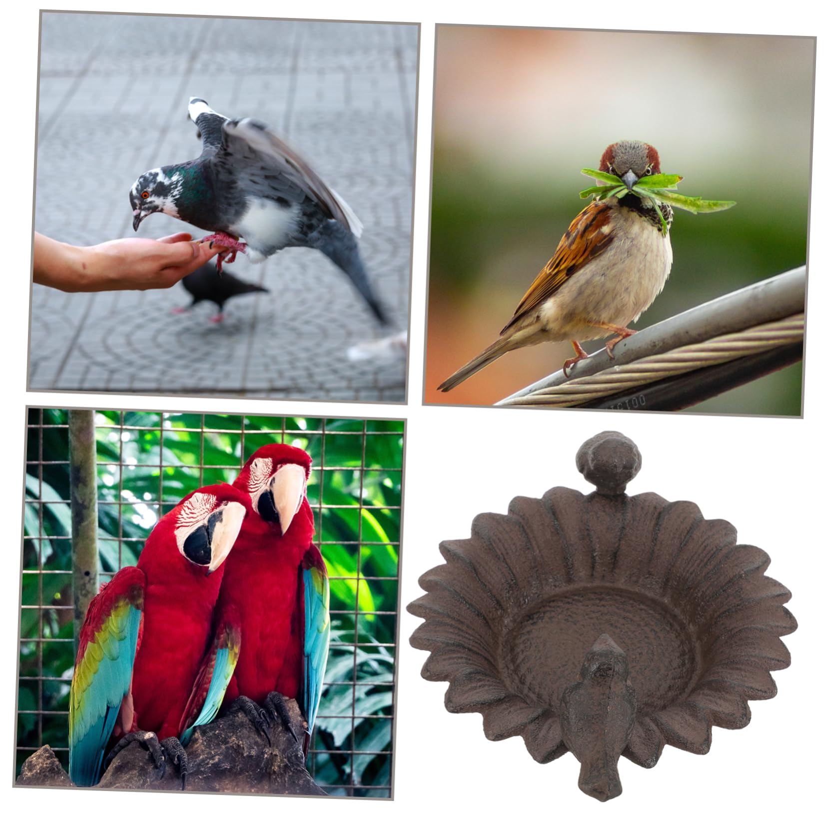 Abaodam Mangeoire à Oiseaux pour Jardin Nourrisseur Compact et Stable pour Petits Oiseaux pour Canaris Perroquets et Alouettes Décoration pour Balcon Cour et Jardin