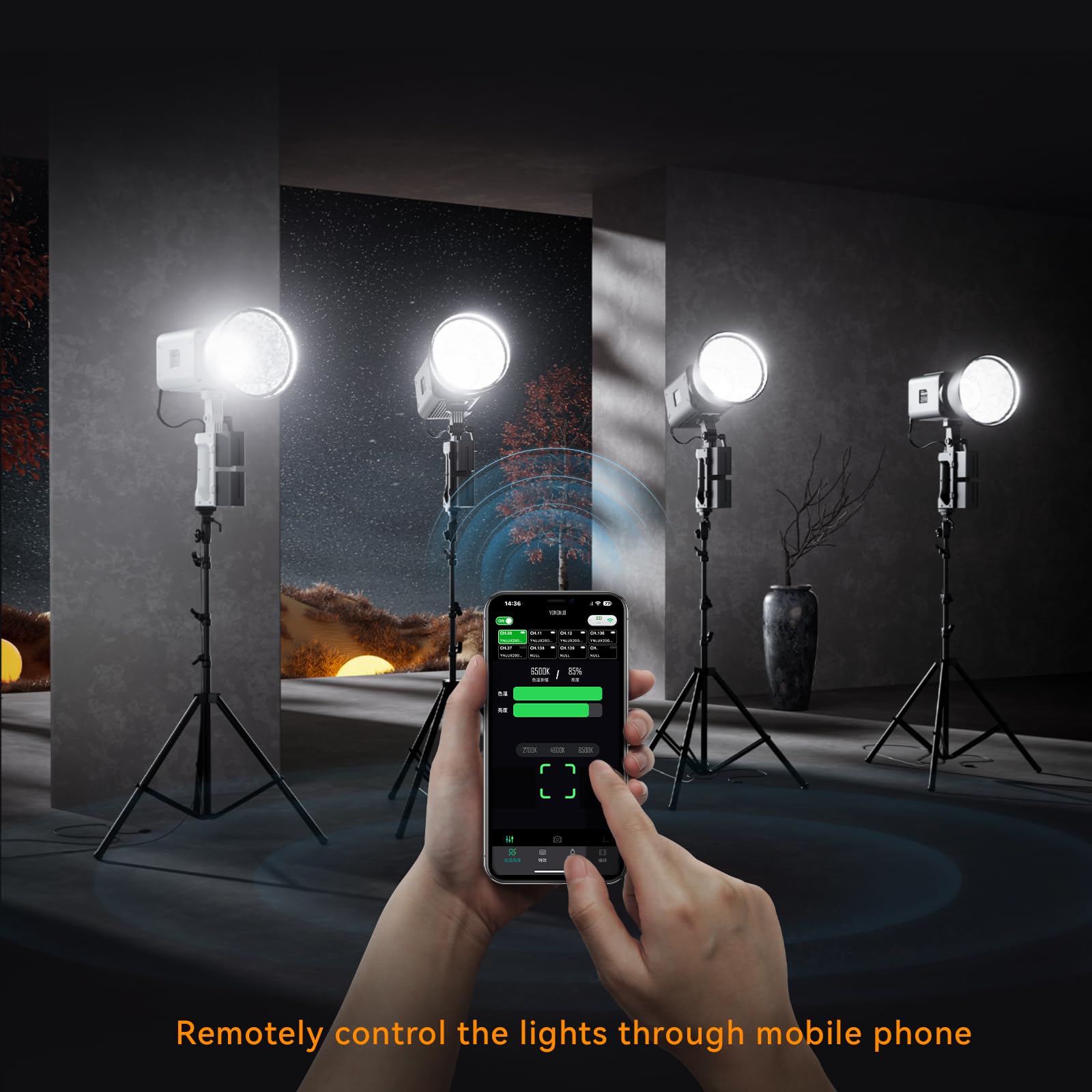 Amazon.com : YONGNUO YNLUX200 200W LED Video Light, Handheld