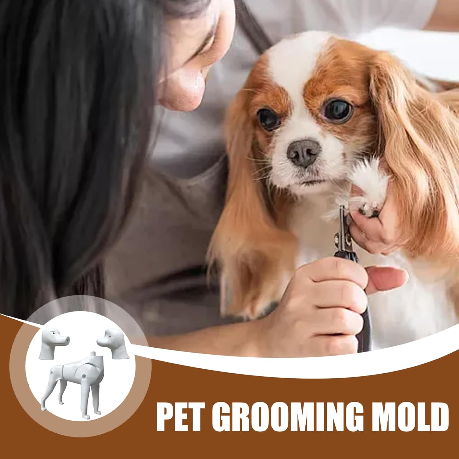 Dog Mannequin Pomeranian & Poodle 2 in 1 Dog Model for Grooming Practice Realistic Standard Mannequin for Beauty Training