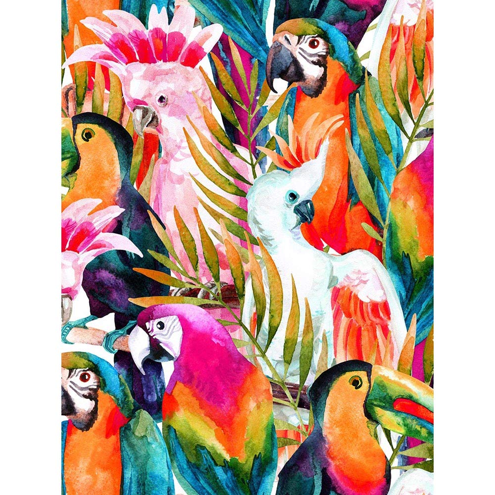Wee Blue Coo Bird Pattern Painting Art Print Poster Wall Decor 12X16 Inch
