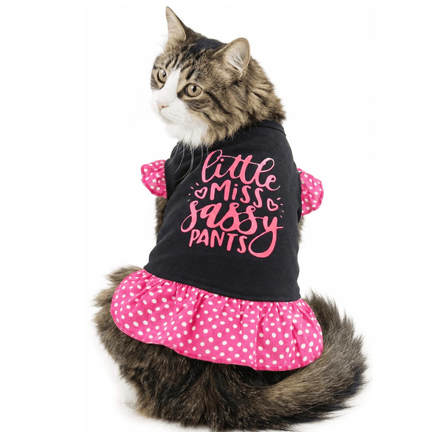 Cute Dresses for Girl Dogs Small Dog Dress Cat Female Summer Clothes Girls with Little Miss Sassy Pants Print, XS