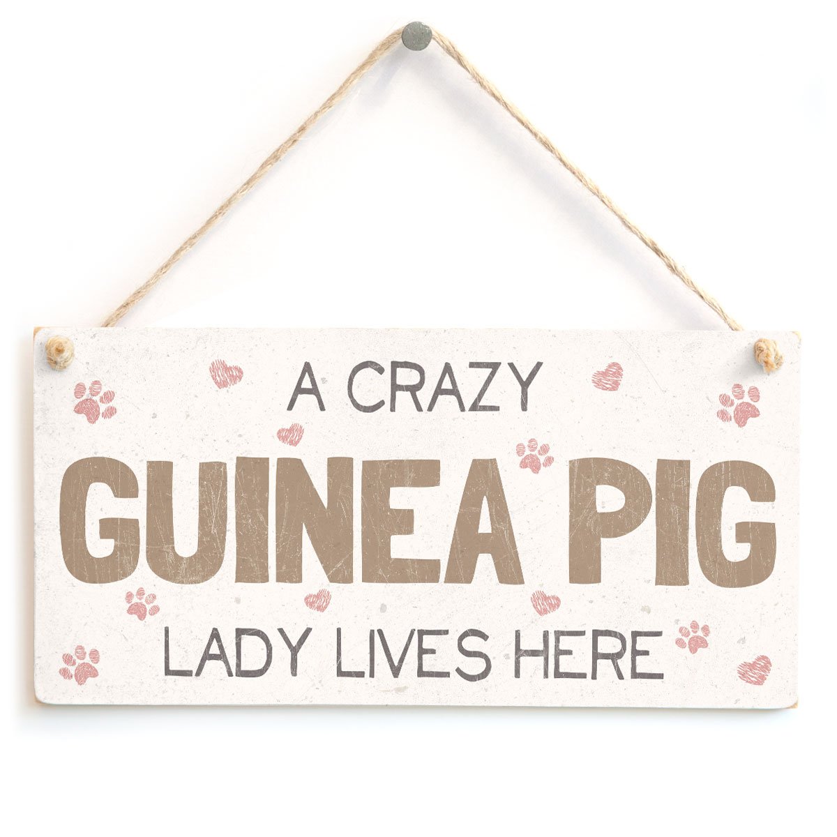 A Crazy Guinea Pig Lady Lives Here - Super Cute Home Accessory Gift Sign