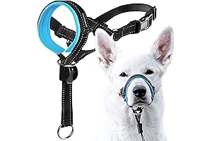 GoodBoy Dog Head Halter with Safety Strap: The End to Heavy Leash Pulling
