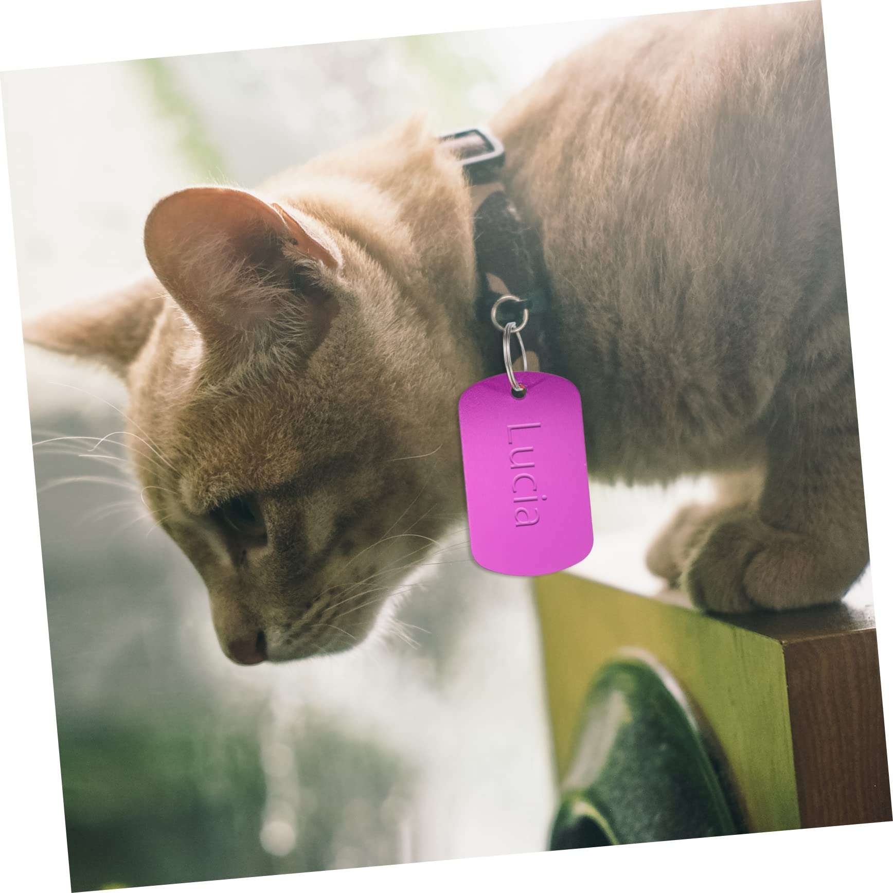 Happyyami 120pezzi Medagliette Per Animali Domestici Tag Identificativi Personalizzabili Per Cani Gatti e Piccoli Animali Per Fai Da Te