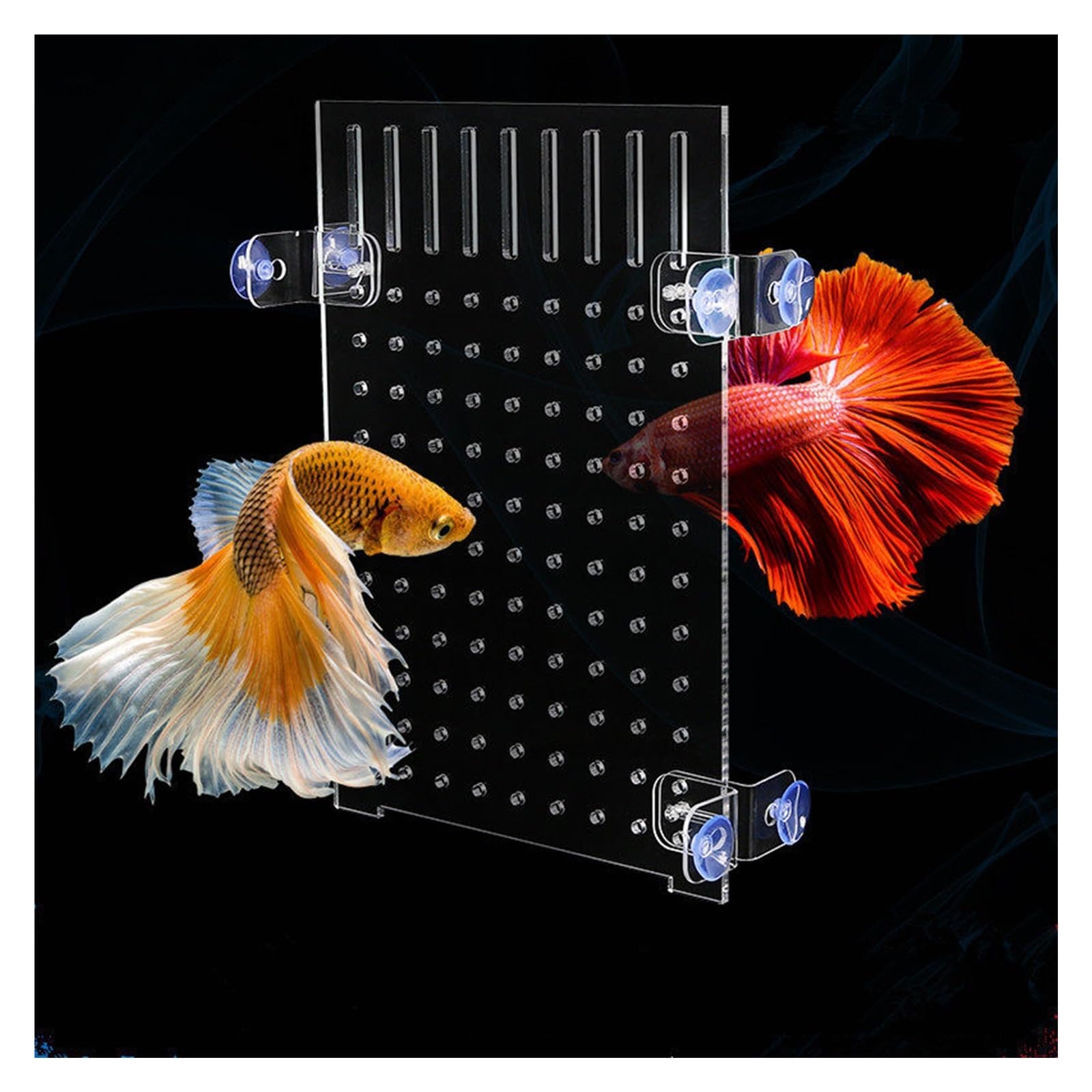 Kit De Séparation pour Aquarium Séparateur pour Bac De Reproduction avec Ventouses Plaques De Séparation Ajourées en Acrylique pour L'isolement Polyvalent des Poissons(8mm Thick)