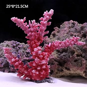 人工サンゴ コーラル型 水槽用石 71DA9iOJImL._UF350,350_QL80_.jpg