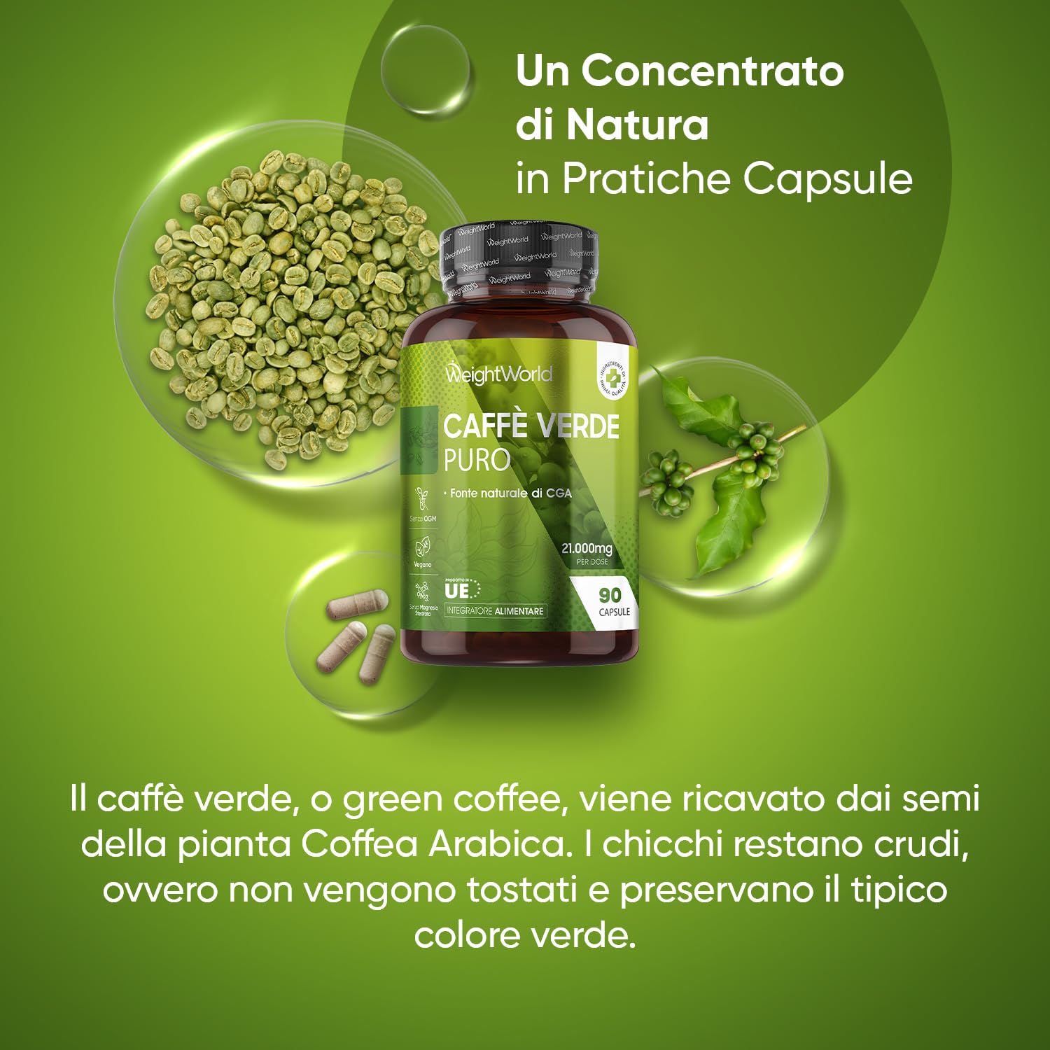 Caffè Verde Puro Vegano da 21.000mg, Estratto 50:1, Fonte Naturale di CGA, 90 Capsule, Caffe Verde dalla Pianta Coffea Arabica, Green Coffee Beans, Senza Magnesio Sterarato e OGM, Prodotto in Europa