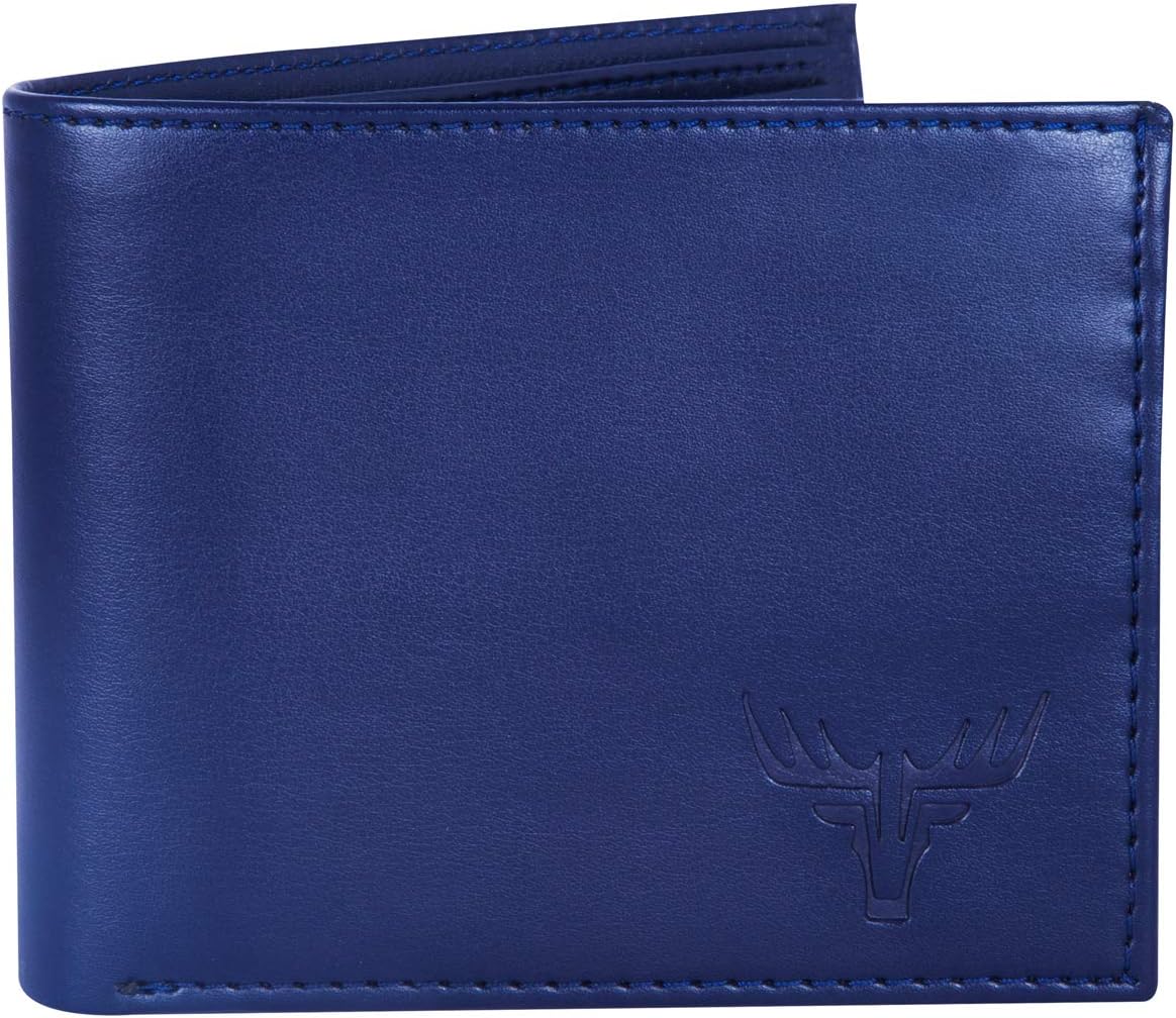 Accezory Baellerry Blue Casual Wallet for Men